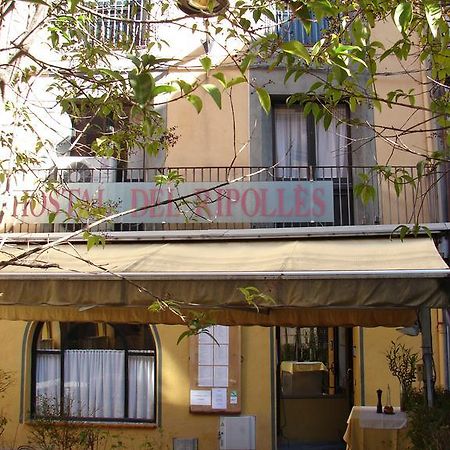 Hostal Del Ripolles Bagian luar foto